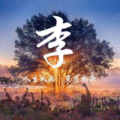 猫恋奇谭最新版下载